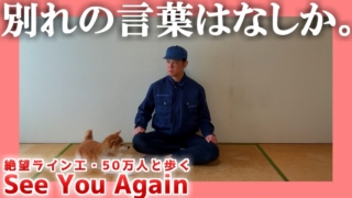 Thumbnail of post image 040