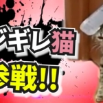 Thumbnail of related posts 123